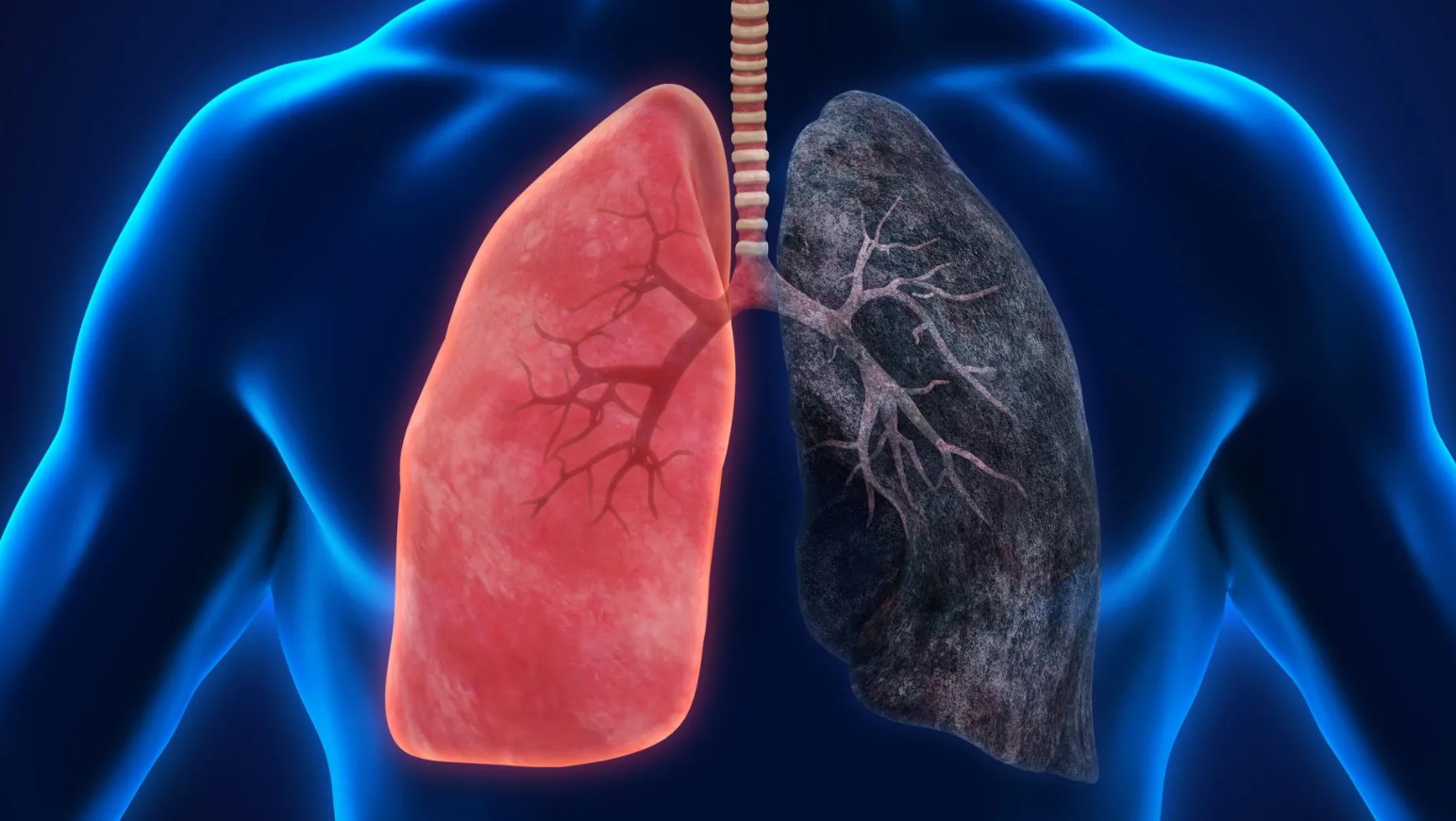 СИЛ ҲАТМАН ТАБОБАТ МЕШАВАД, НАБОЯД НОУМЕД ГАРДИД!