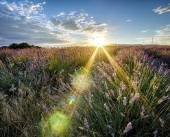 Фазилати Абӯбакри Сиддиқ (р)